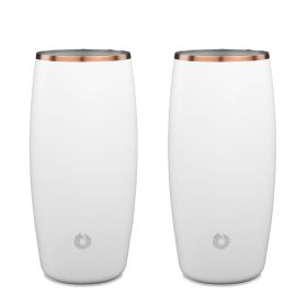 Stainless Steel Beer Glass Set, Set of 2 - White